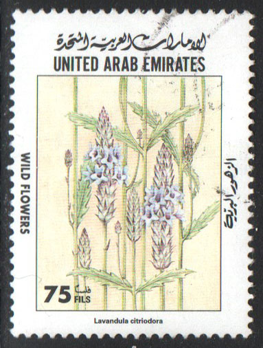 United Arab Emirates Scott 625 Used